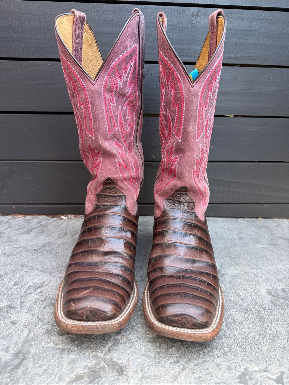 Macie Bean Women's
"With All My Bite" - Caiman Print Square Toe Cowboy boot